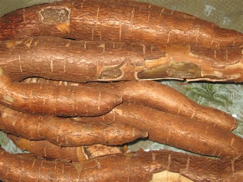 kapoy in English .